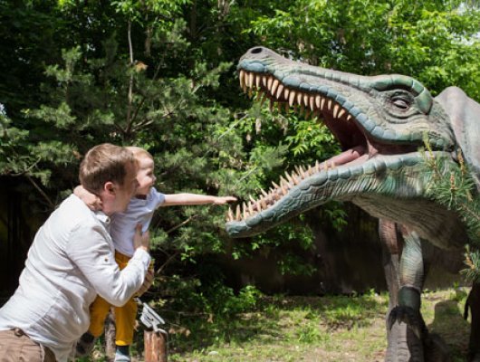 увлекательные экскурсии