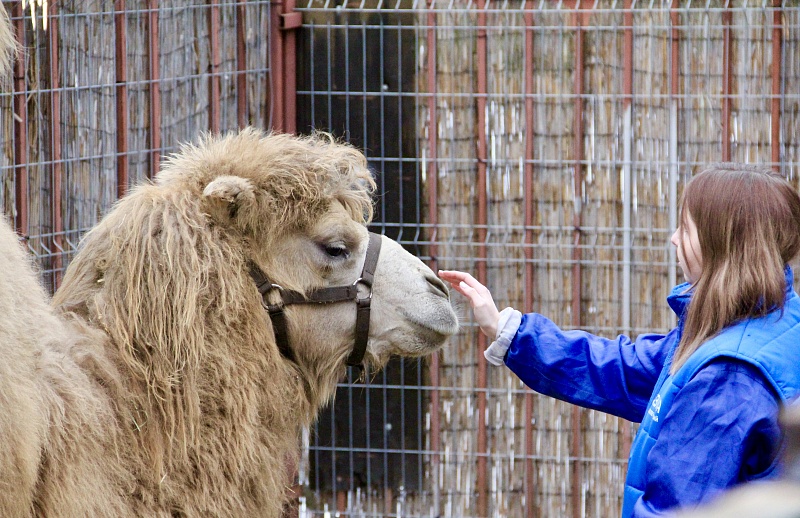 УВЛЕКАТЕЛЬНЫЕ ЭКСКУРСИИ
